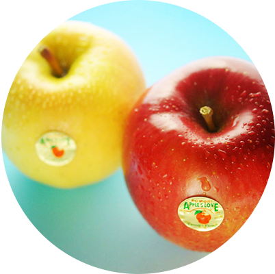 apple_nama